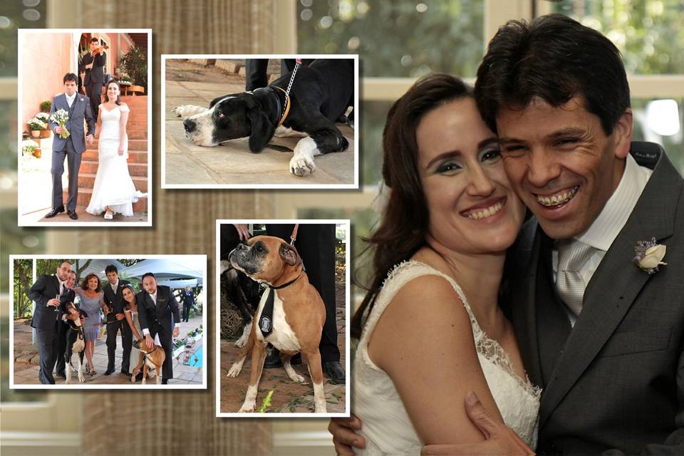 Casamento fazenda