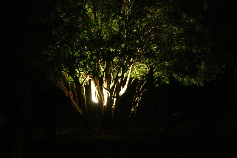 Iluminação jardins