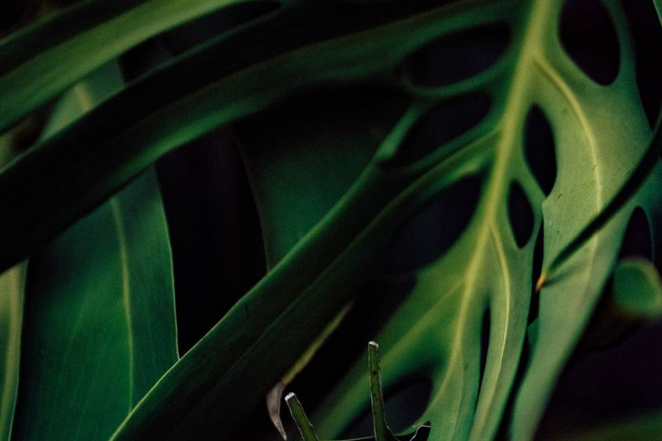 Larissa e Lucas - Making of