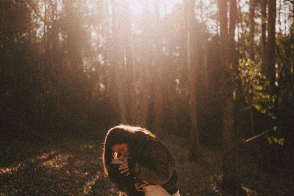 Ensaio no Bosque