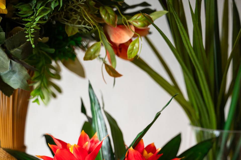 Decoração tropical