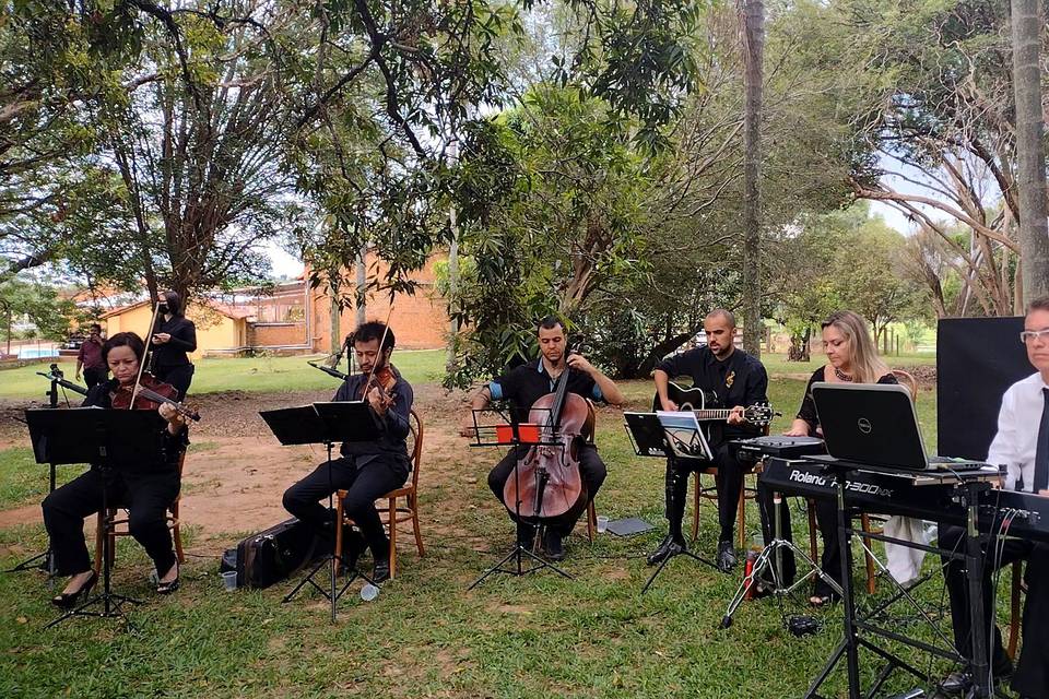 Orquestra Mamadoc