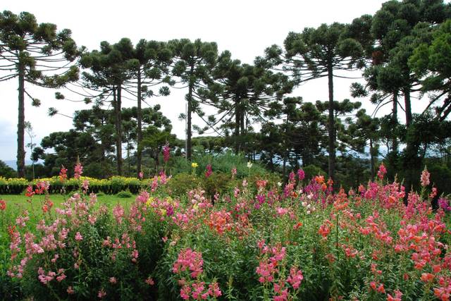 Jardins