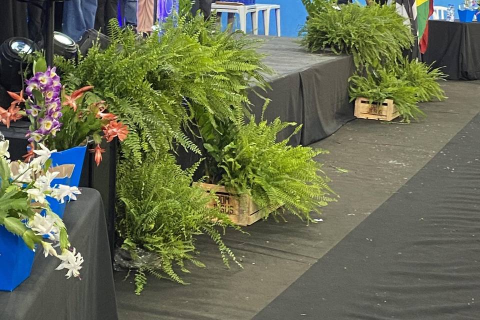 Premiação Olimpiadas Redação