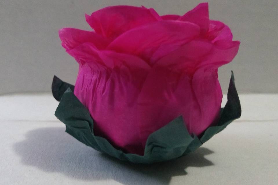 Botão de rosa