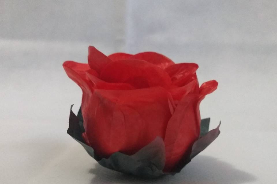Botão vermelho