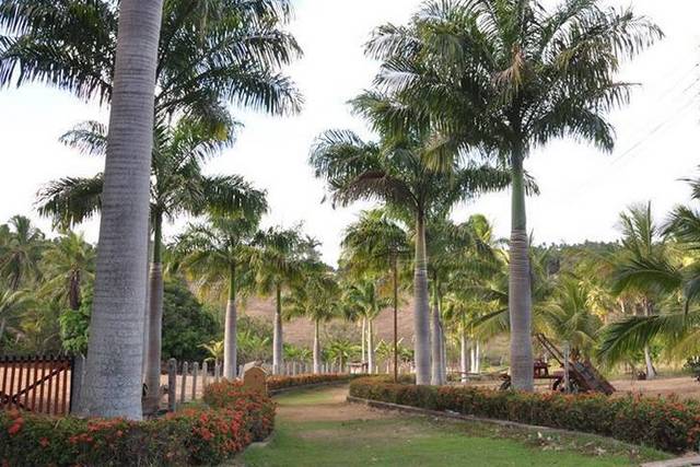 Ambiente natural