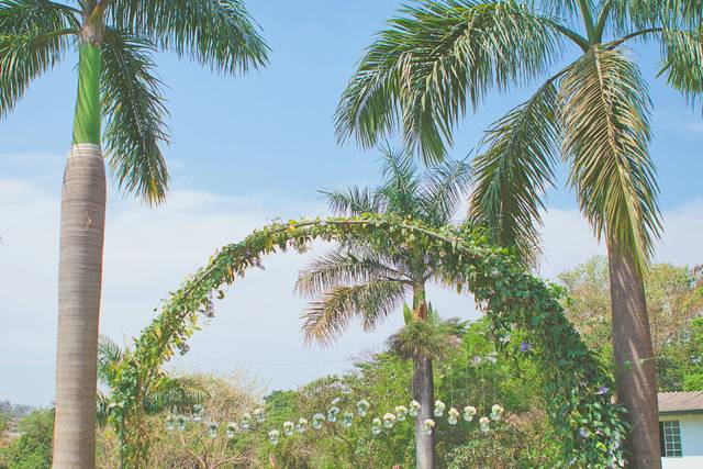 Casamento no gramado