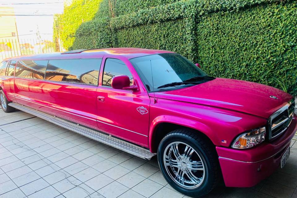 Limousine Rosa