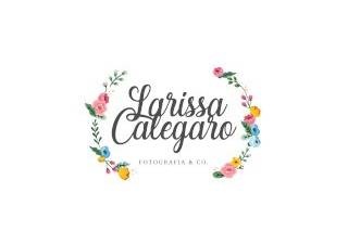 larisssa logo