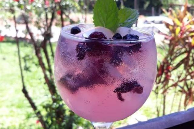 Gin ideal