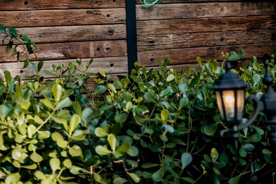 ESPAÇO: JARDIM SECRETO