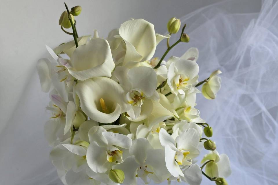 Curadoria de Design Floral
