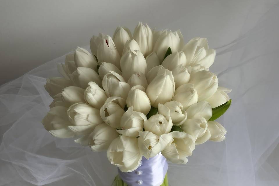 Tulipas