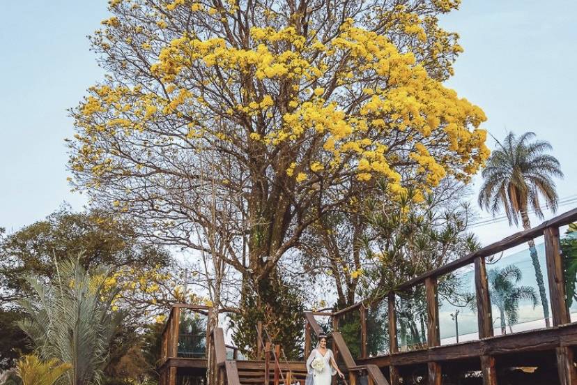 Com interação a natureza