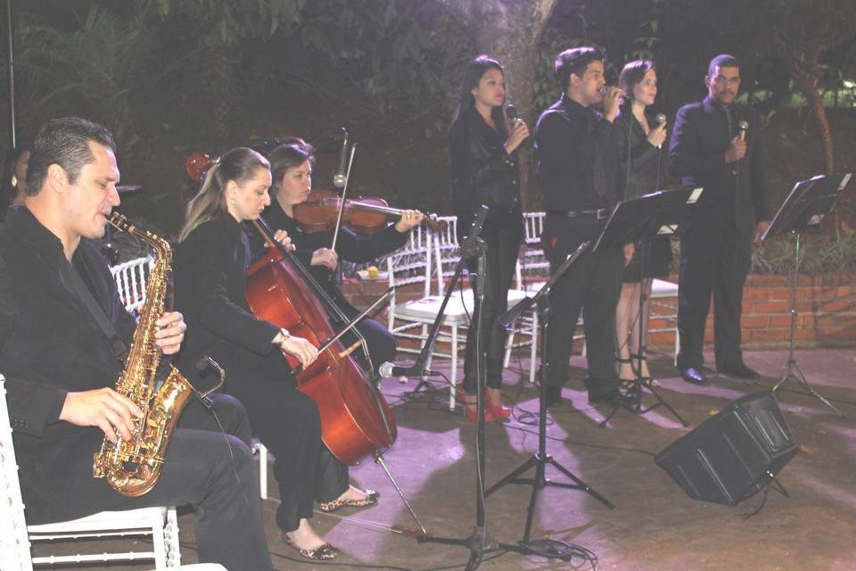 Perfil Grupo Musical