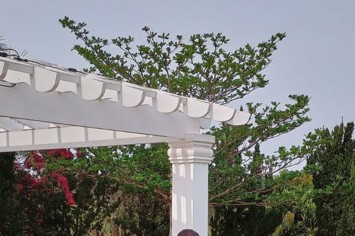 Assessoria de casamento