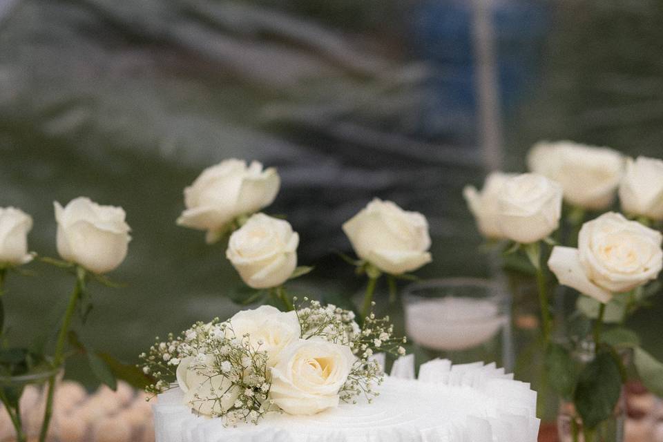 Rosas Brancas