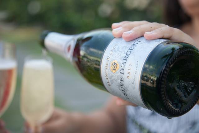 Veuve D'Argent Blanc de Blancs