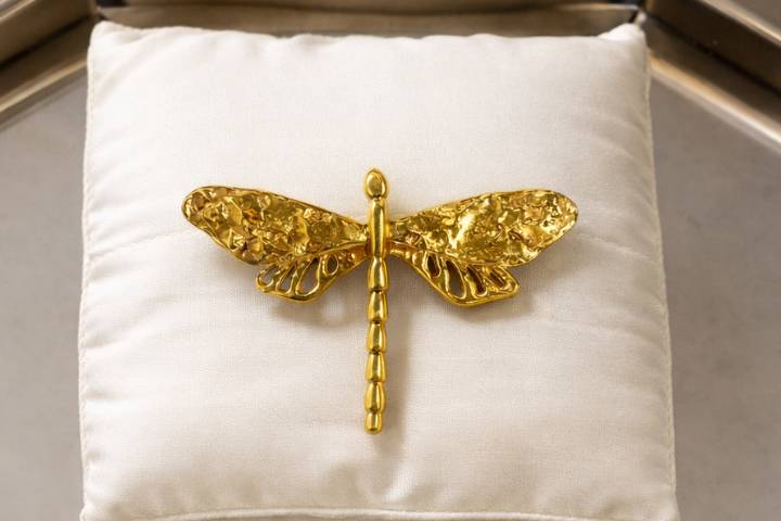 Detalhes broche pantala