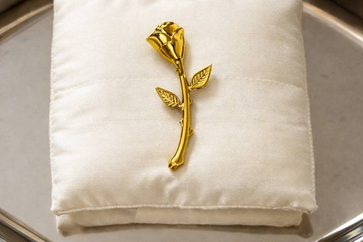 Detalhes broche amarílis