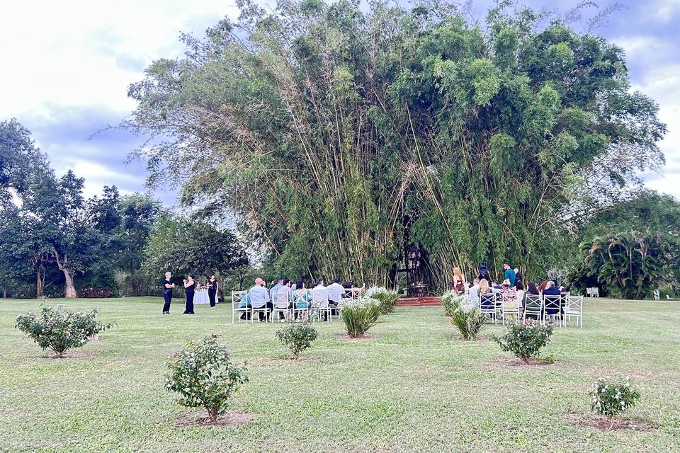 Casamento