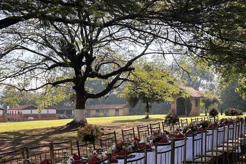 Casamento