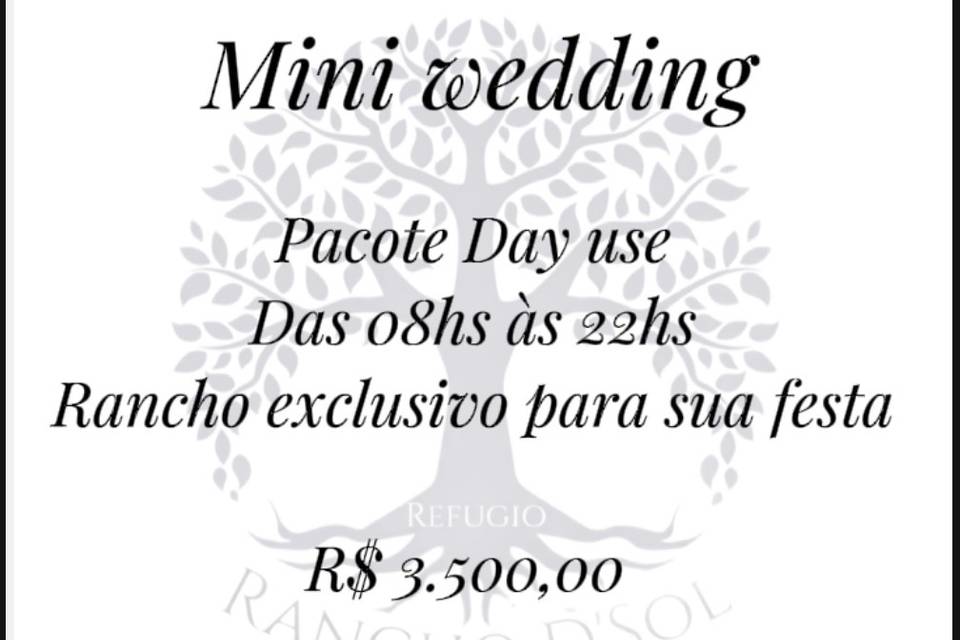 Mini wedding