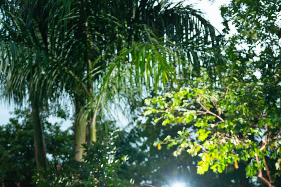Di ferreira fotografia