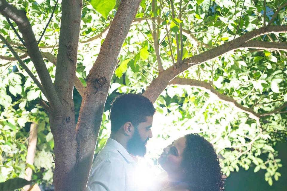 Di ferreira fotografia