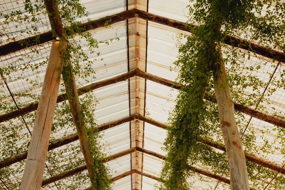 Clássicas e modernas