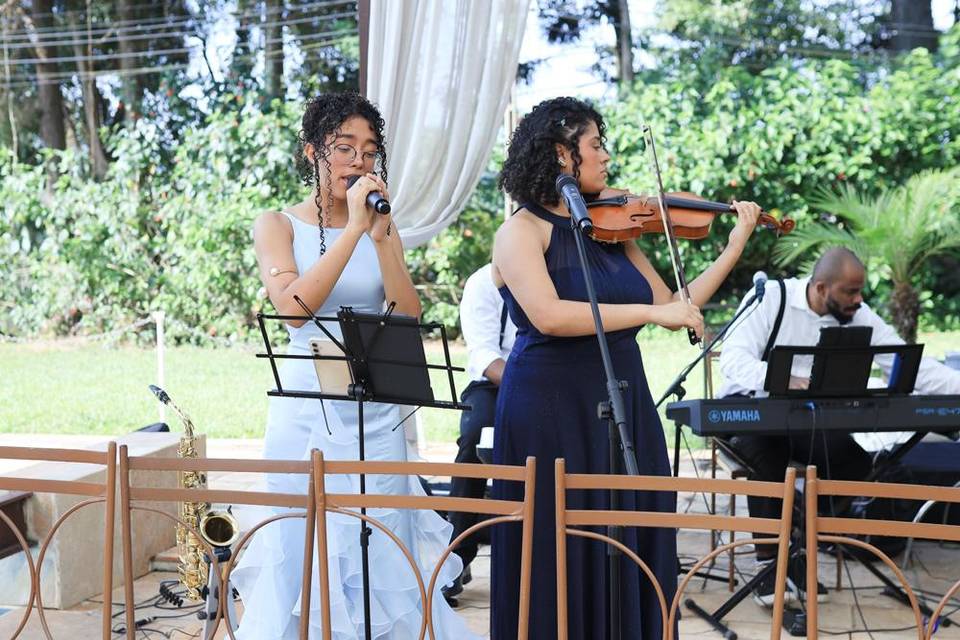 Música ao vivo de casamento