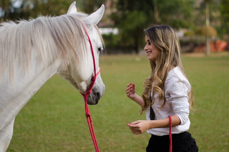 Foto Viçosa