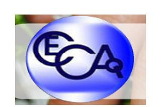 CECAQ logo