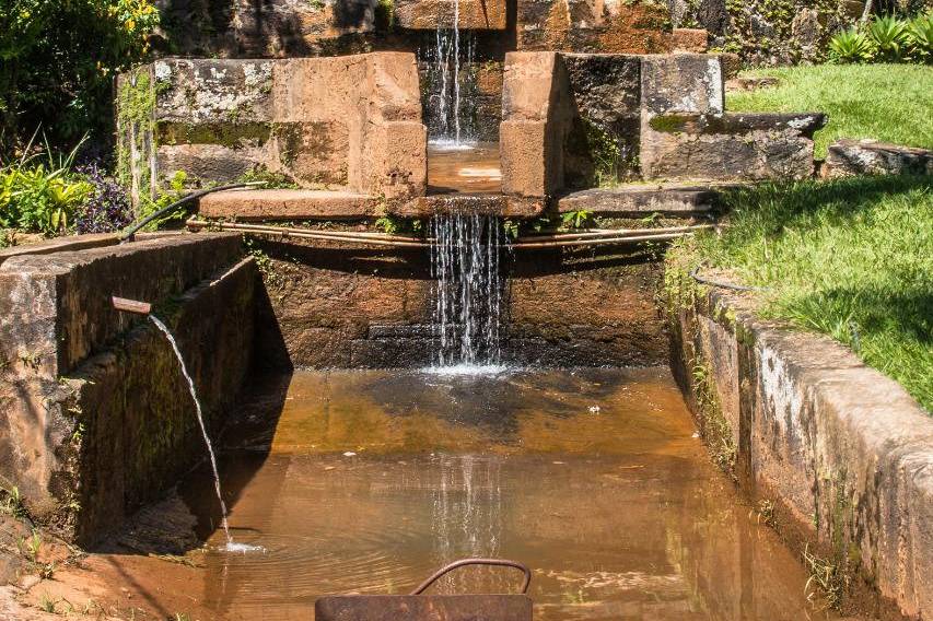 Lavador de café