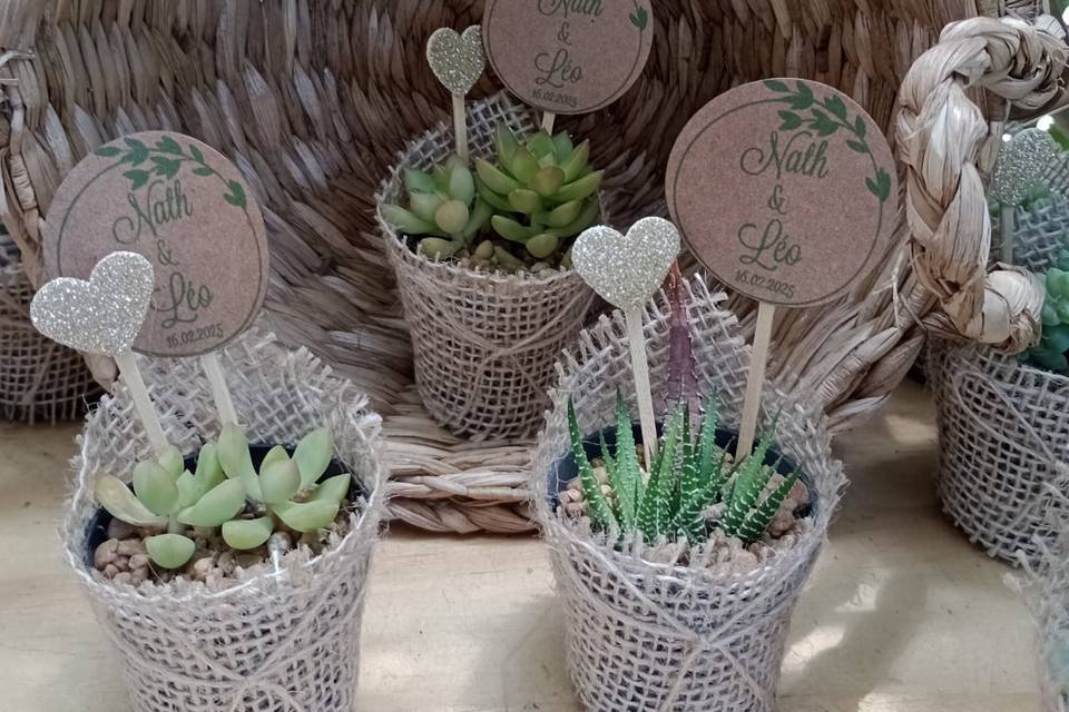 Lembrancinha naturais