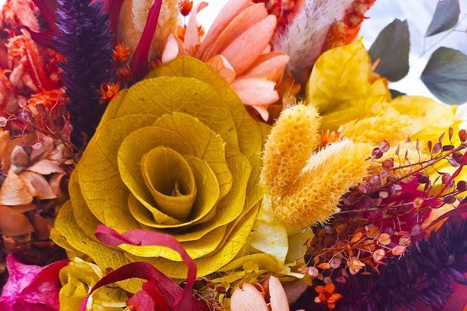 Flores