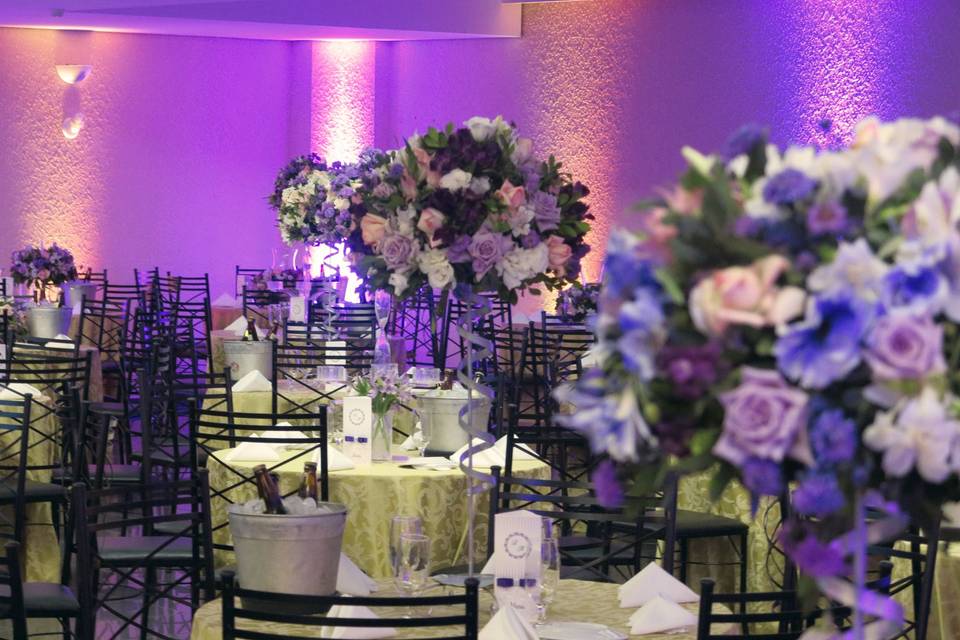 Option Eventos