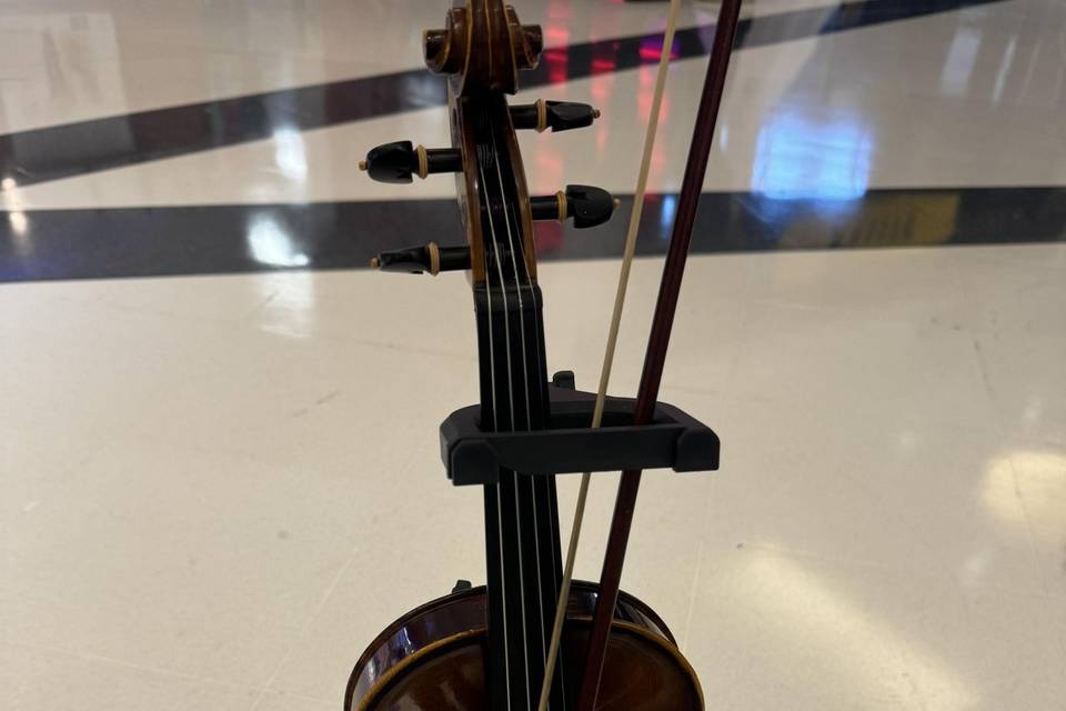 Violino