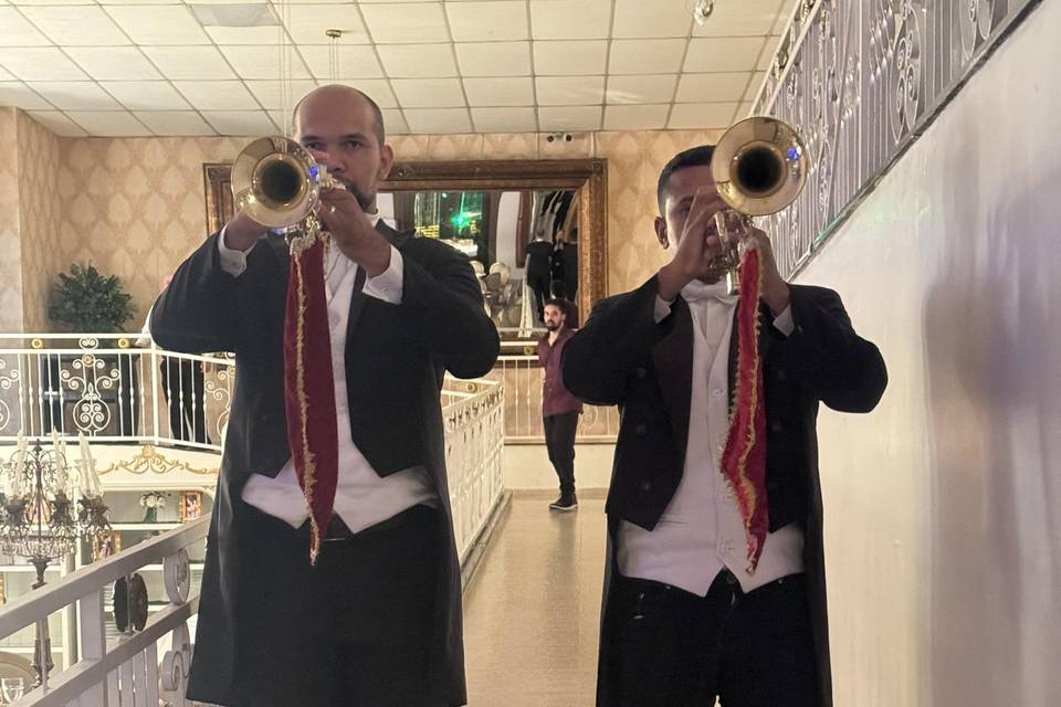 Músicos