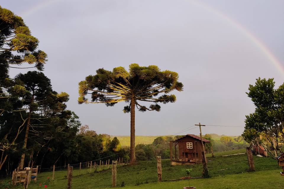 Arco iris