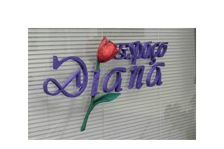 Espaço diana logo