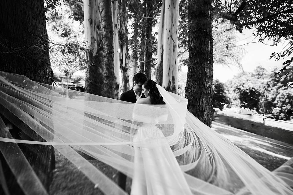Leticia e Gustavo