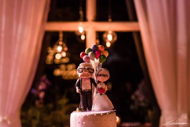 Vanessa & Diego recepção 02