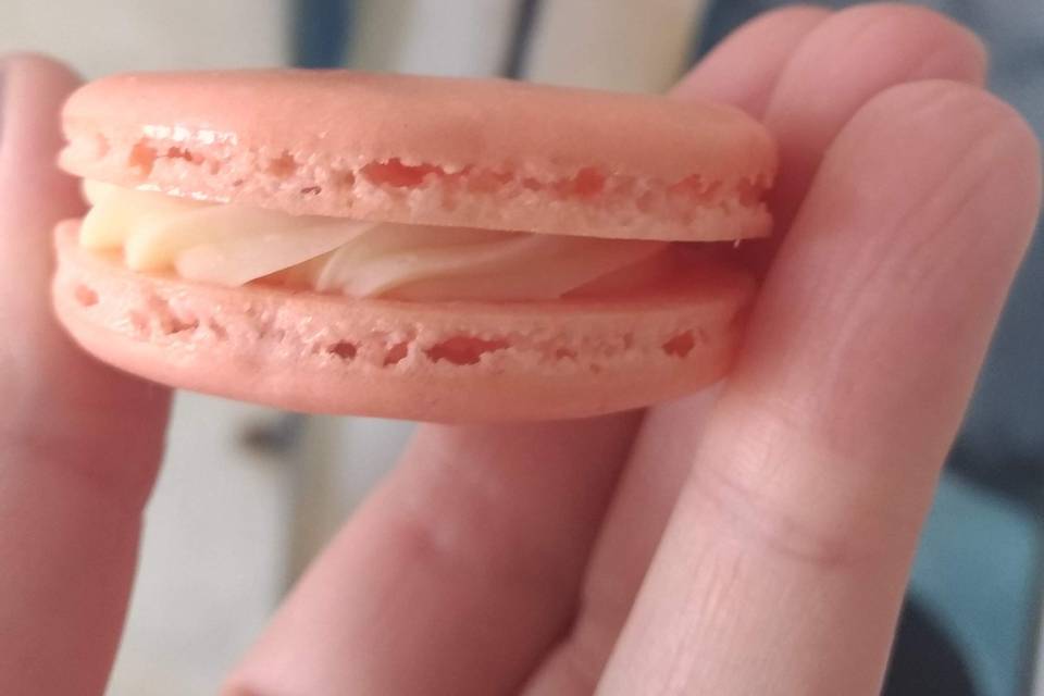 Macarons na cor que vc desejar