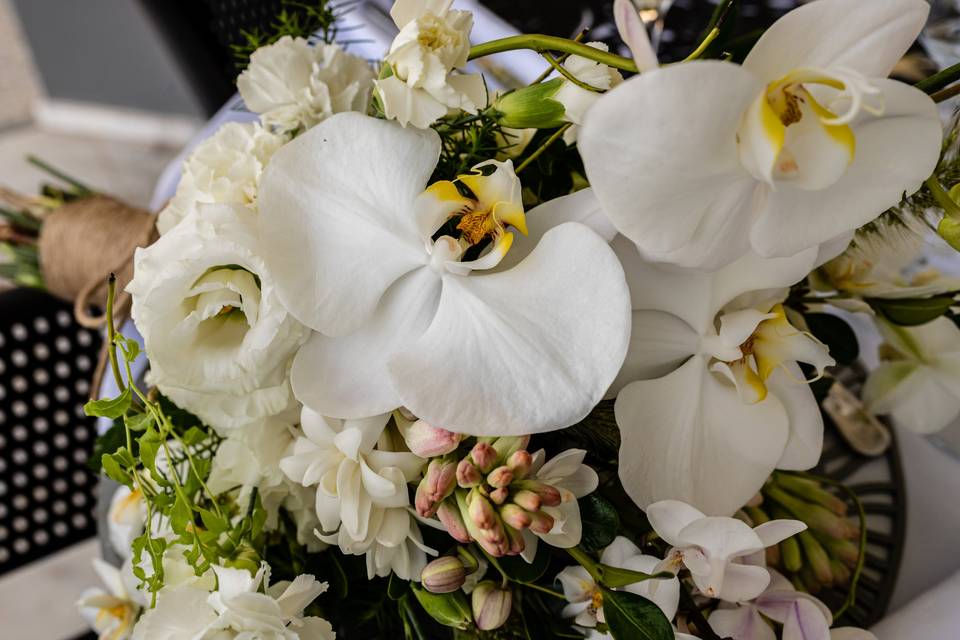 Fotografia de Casamento