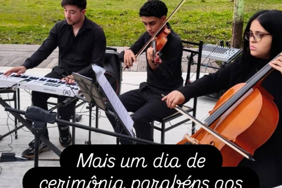 Cada dia melhor