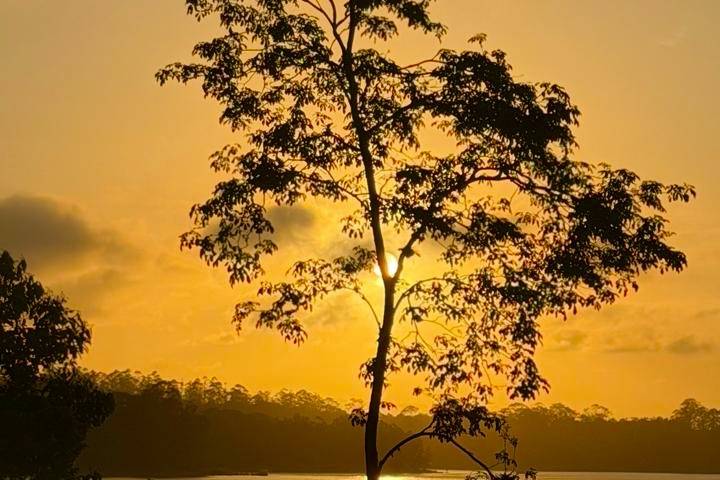 POR DO SOL