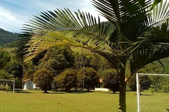 Sitio Casa Real