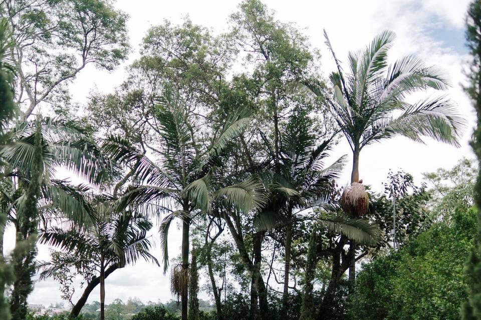 Cerimônia